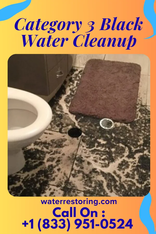 Category 3 Black Water Cleanup in Wilkshire Hills, OH