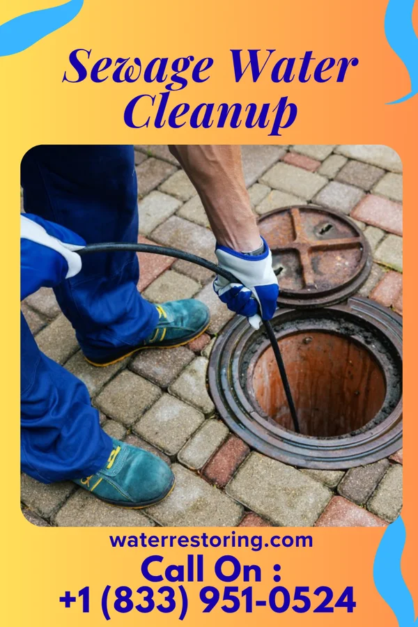 Sewage Water Cleanup in Wilkshire Hills, OH